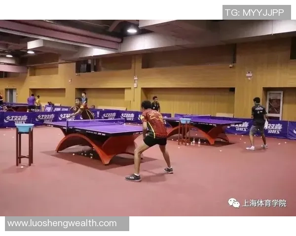 武汉乒乓球队挑战赛特别报道:从磨砺到辉煌的奋斗历程与突破之路 武汉乒乓球队挑战赛特别报道:从磨砺到辉煌的奋斗历程与突破之路